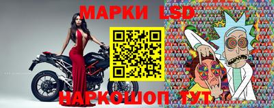 a pvp Гатчина