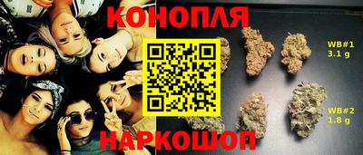 a pvp Гатчина