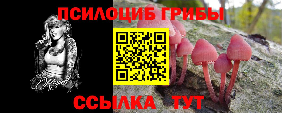 Галлюциногенные грибы прущие грибы  Вход с VPN  Назарово  Псилоцибиновые грибы Psilocybine cubensis 